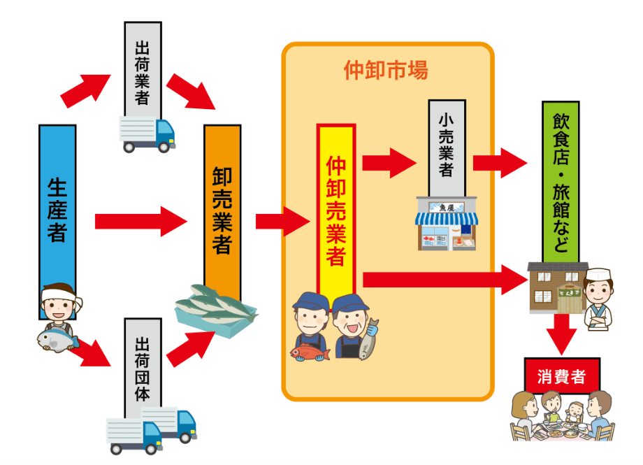 水産物の流通構造