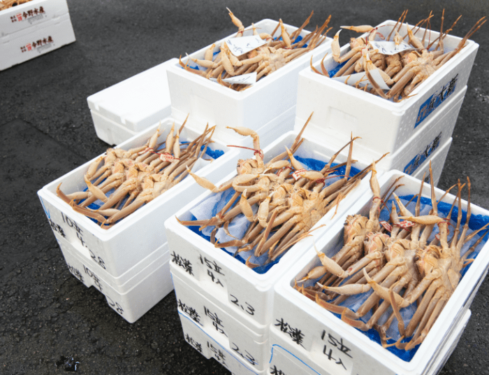 大量のカニの写真