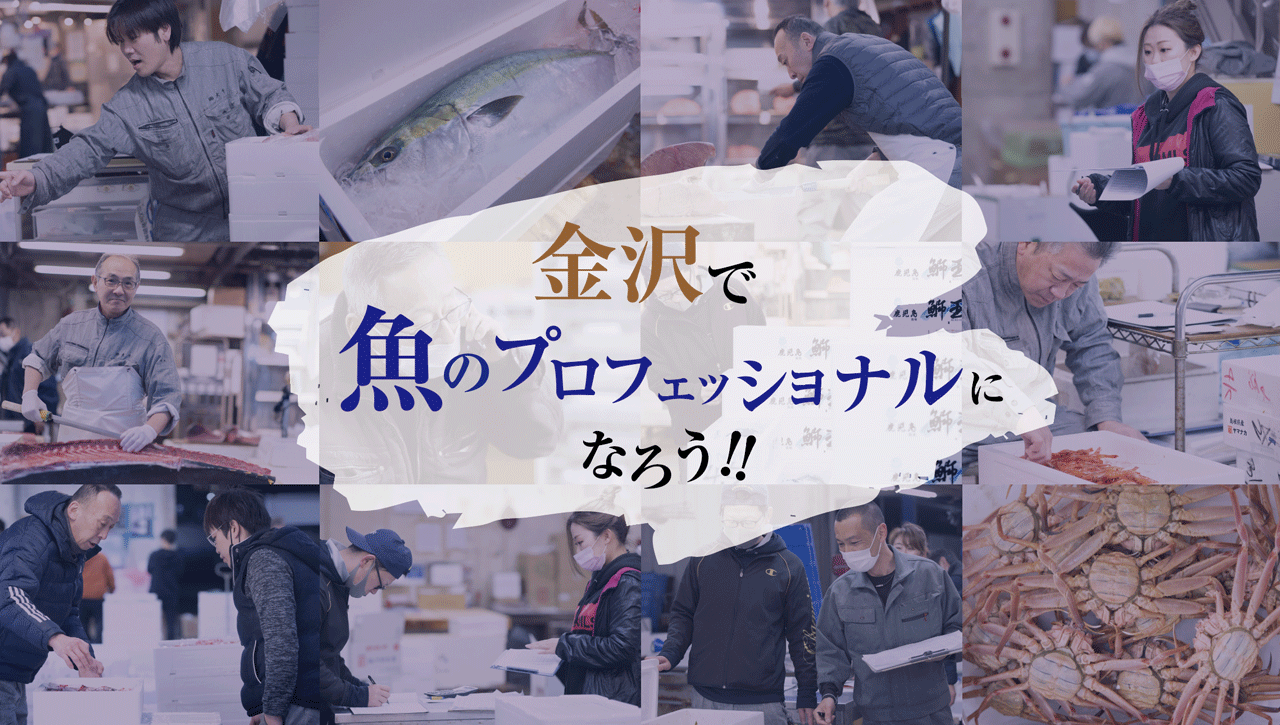 金沢で魚のプロフェッショナルになろう!!