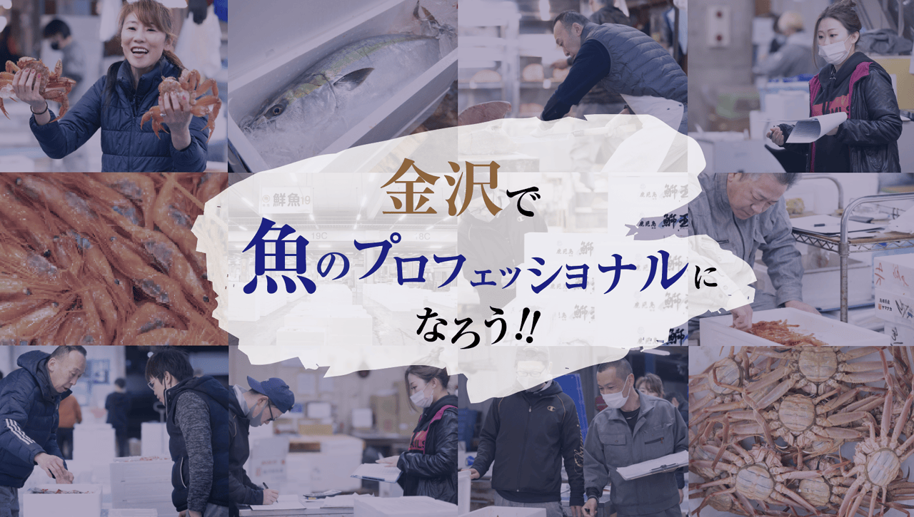 金沢で魚のプロフェッショナルになろう!!