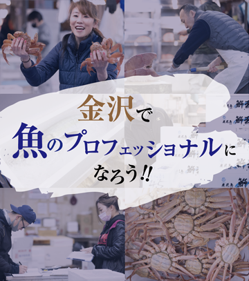 金沢で魚のプロフェッショナルになろう!!